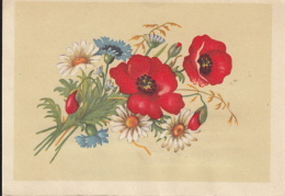48740- POPPIES, DAISIES, WILD FLOWERS, TELEGRAMME, 1964, ROMANIA - Telegraphenmarken