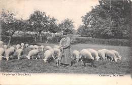 Ervy   10      Un Pâturage. Moutons - Andere & Zonder Classificatie