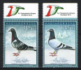 Hungary 2015 / 1. Animals / Birds / Post Pigeon Set (Post Pigeon Olimpic) TYPE 1. MNH (**) - Nuevos