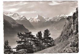 Vierwaldstättersee Mit Bristenstock , Schweiz / Suisse; Cachet FLÜELEN ,1964, TB - Wald