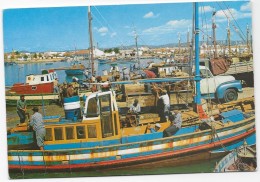 PORTUGAL- Olhão - Descarga Do Peixe. - Faro