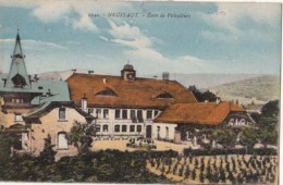 Allemagne  -  Neustadt - Ecole De Viticulture    : Achat Immédiat - Neustadt Waldnaab