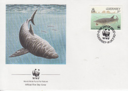 Enveloppe  FDC   1er   Jour    GUERNSEY      REQUIN  PELERIN      WWF    1990 - FDC