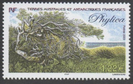 TAAF  -Flore Antarctique - Phylica Arborea - Famille Des Rhamnaceae - - Neufs