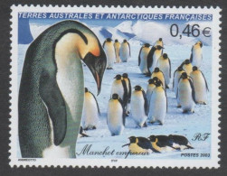 TAAF  - Faune Antarctique -Oiseau :  Manchot Empereur - Neufs