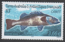 TAAF  - Faune Antarctique -Poisson - Cabot Ou Cabo - - Unused Stamps