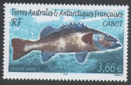 TAAF  - Faune Antarctique -Poisson - Cabot Ou Cabo - - Neufs