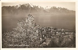 Schweiz, 1934, Clarens, Montreux Au Printemps Nach Steffisburg, Siehe Scans! - Steffisburg