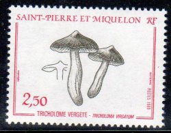 SAINT PIERRE ET MIQUELON - N° 497  ** - Unused Stamps