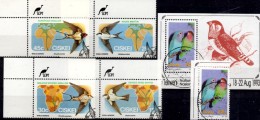 WWF Zugvögel 1984 Südafrika Ciskei 61/4 ER O 25€ Weißbrauen-Schwalbe Mehlschwalbe Rauchschwalbe Sheet Bf Southafrica RSA - Golondrinas