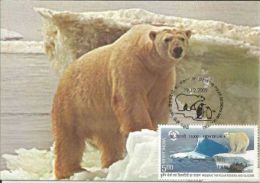 India 2009 ,Bear, Preserve The Polar Regions And Glaciers, Maximum Card - Préservation Des Régions Polaires & Glaciers