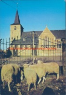 Kerk Deftinge - Lierde