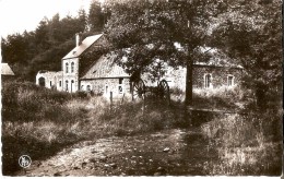 FELENNE (5570) - Minoterie : Le Vieux Moulin De La Vallée De La Houille. CPSM. - Beauraing