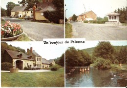 FELENNE (5570) : Un Bonjour De Felenne. CPSM Multivues (4 Vues), Dont Celle De La Douane. - Beauraing