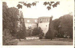 BEAURAING (5570) : Vue Sur Les Ruines Du Château Féodal. CPSM. - Beauraing