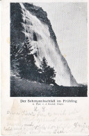 DER SCHREYENBACHFALL IM FRÜHLING - DOS UNIQUE - 14.10.1901 - AMINCI DEVANT - Andere & Zonder Classificatie