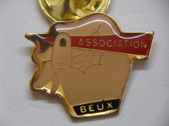 Pin's - Association BEUX - 57 Moselle - Une Main Qui écrit - Associations