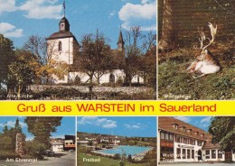 WARSTEIN-GRUSS - Warstein
