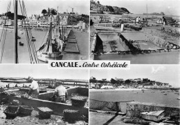 ¤¤  -   35.1002   -  CANCALE  -  Multivues  -  Centre Ostéicole - Port De La Houle - Parcs à Huitres   -  ¤¤ - Cancale