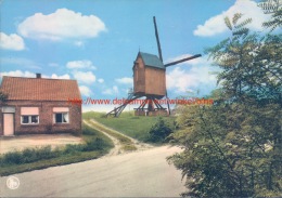 Molen Van Keerbergen - Keerbergen