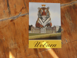 Woburn Abbey Tigers - Tigres