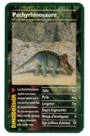 Dinodossier - PACHYRHINOSAURE - Other & Unclassified