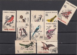 Romania 1993- Yt 4065/74  Used   Serie Ordinaria - Oiseaux - Specht- & Bartvögel