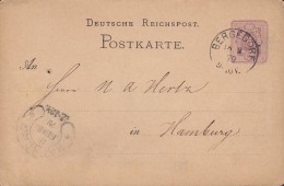 Reichspost Postal Stationery Ganzsache BERGENDORF Bayern 1879 HAMBURG (Arr. Cds.) (2 Scans) - Cartes Postales