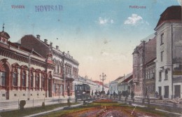 Yugoslavia Serbia Vojvodina Ujvidek Novi Sad Petoffy Utca,Tramway - Tram