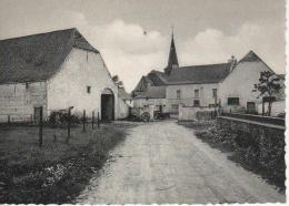 Strée: Ferme De La Salle - Beaumont