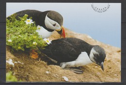 2014 Canada Atlantic Puffin Bird Fauna Unused - Modern Cards