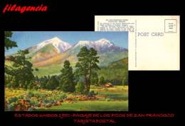 PIEZAS. ESTADOS UNIDOS. ENTEROS POSTALES. TARJETA POSTAL 1950. PAISAJE DE LOS PICOS DE SAN FRANCISCO - Sonstige & Ohne Zuordnung