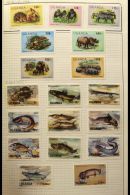 1962-89 EXTENSIVE FINE MINT COLLECTION Neatly Presented In A Small Spring Back Album. We See A Wealth Of Complete... - Ouganda (...-1962)