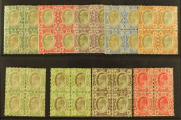 TRANSVAAL 1902-09 Group Of Mint Blocks Of 4, Incl. Wmk Crown CA ½d To 2½d, 6d & 1s, Wmk Mult... - Unclassified