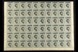 1900-02 5c Black And Pale Blue Pheasant, SG 114, A Superb NEVER HINGED MINT Lower Half Sheet Of Sixty (10 X 6)... - Borneo Del Nord (...-1963)