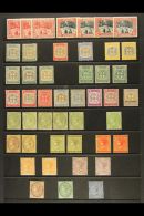 1900-11 QUEEN VICTORIA MINT COLLECTION On A Stock Page. Includes 1900-01 1s 'Falls' Shade Ranges Of Both Colours,... - Jamaïque (...-1961)