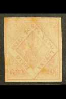 NAPLES 1858 20gr Rose, Sassone 13, MINT Large Part OG With 4 Good Neat Margins. Some Toning And A Faint Diagonal... - Unclassified