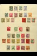 NABHA 1885 TO 1942 THE COLLECTION On Leaves, With Comprehensive Mint & Used All Different Ranges Including The... - Other & Unclassified