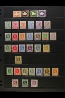 1886-1966 MINT COLLECTION Presented On Stock Pages. Includes QV Embossed 2d, 4d, 6d & 1s, "Tablet" Set To 4d,... - Gambie (...-1964)