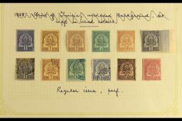 TUNISIA 1888-1902 ARMS TYPES. An Attractive Mint & Used Collection On Leaves, Inc 1888-93 Thin Numerals Used... - Other & Unclassified