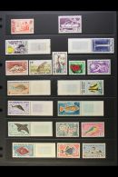 SOMALI COAST 1950-1967 Complete Fine Mint Collection Much Being Marginal Never Hinged Mint, Yv 283/325. Lovely... - Other & Unclassified