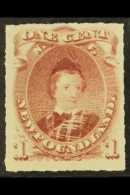 1876-9 1c Lake-purple, Rouletted, SG 40, Fine Mint, Nice Example! For More Images, Please Visit... - Other & Unclassified