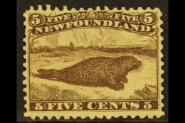 1865-70 5c Brown Perf 12, SG 26, Unused No Gum With Very Fine Centering, One Short Perf At Left. Impressive, Cat... - Altri & Non Classificati