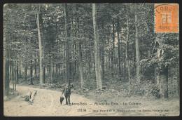 G. CPA - FLOBECQ BOIS - Milieu Du Bois - Le Calvaire   // - Vloesberg