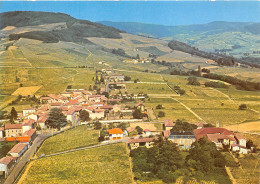 69-CHENAS- VUE AERIENNE DU VIGNOBLE "LES DESCHAMPS" - Chenas