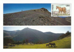 ANDORRE. Le Cheval Rougeâtre Dans La Nature Dans Le Vall Del Madriu-Perafita-Claror (patrimoine Unesco) - Covers & Documents