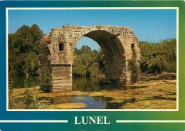 34  LUNEL  LE PONT ROMAIN SUR LE VIDOURLE EMPRUNTE PAR LA VOIE DOMITIENNE FAIT PARTIE DU SITE ROMAIN D'AMBRUSSUM - Lunel