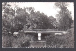 GUERIGNY - Le Pont Sur La Nièvre -  Format Cpa - Guerigny