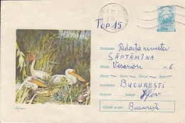 49214- PELICANS, BIRDS, COVER STATIONERY, 1971, ROMANIA - Pélicans