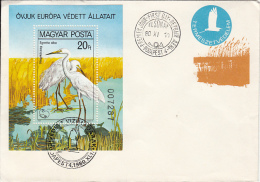 49215- GREAT EGRET, BIRDS, COVER FDC, 1980, HUNGARY - Pélicans